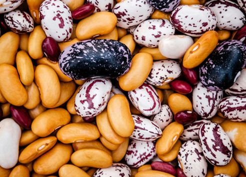 Close up of various colourful beans