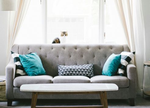 Grey sofa with blue cushions in a livingroom with coffee table in front of it