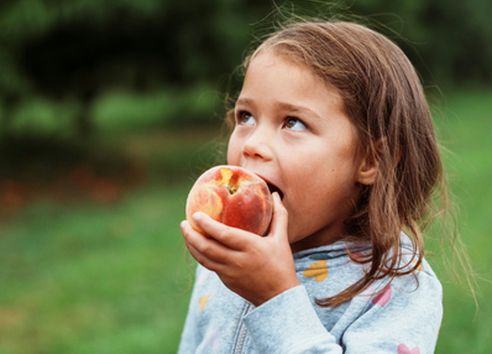 child eating a fresh, whole peach, supporting the 30-a-week plant-based diet for gut health and breast cancer prevention.