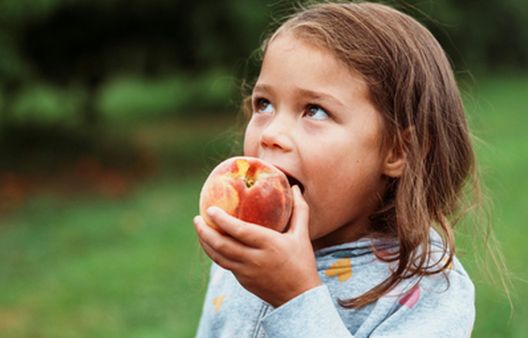 child eating a fresh, whole peach, supporting the 30-a-week plant-based diet for gut health and breast cancer prevention.