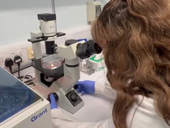 Brunette woman looking into microscope